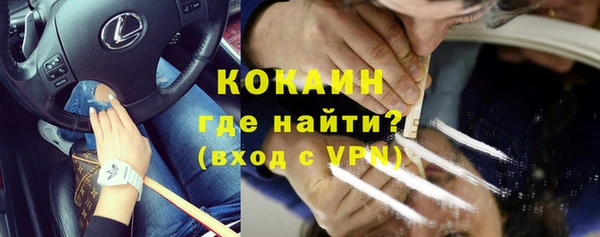 ECSTASY Богданович