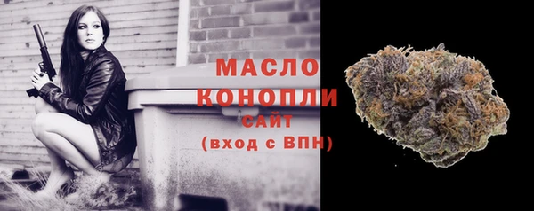 ECSTASY Богданович