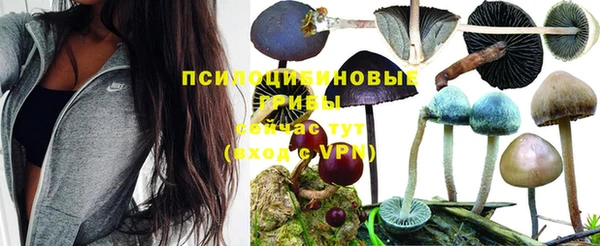 ECSTASY Богданович