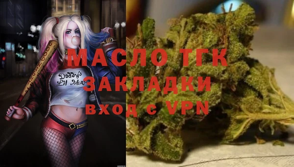 ECSTASY Богданович