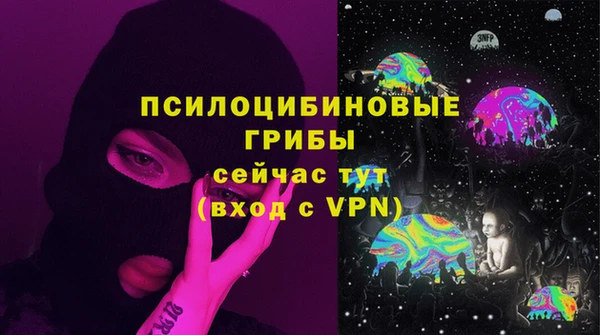 ECSTASY Богданович