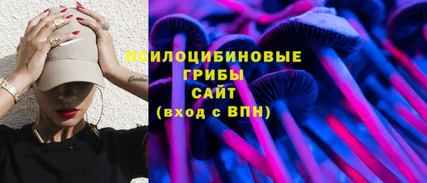 ECSTASY Богданович