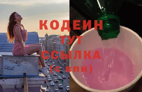 ECSTASY Богданович