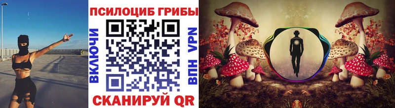 Галлюциногенные грибы Cubensis  Мезень 